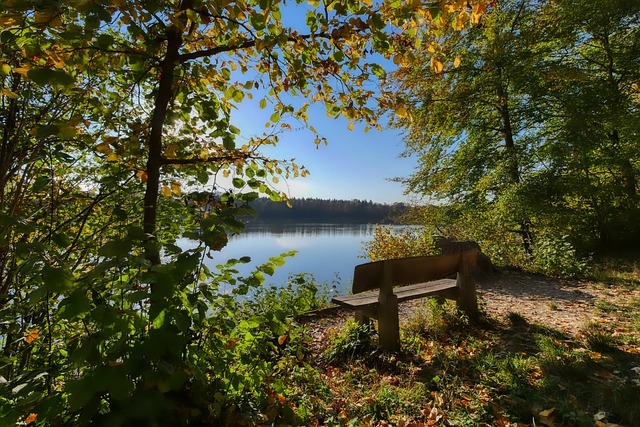 和对拼搏精 和对拼搏精